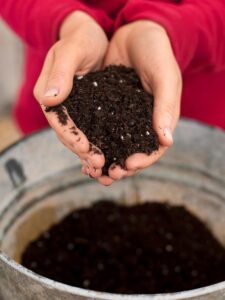 SDF India Plant Soil for Plants 10 Kg | Potting Soil Mix for Plants Garden Soil for Plants Less All Purpose Ready to Use Potting Mix Made with Vermicompost, Neem Cake, Potash, River Sand