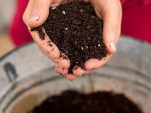 SDF India Plant Soil for Plants 10 Kg | Potting Soil Mix for Plants Garden Soil for Plants Less All Purpose Ready to Use Potting Mix Made with Vermicompost, Neem Cake, Potash, River Sand