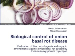 Biological control of onion basal rot disease