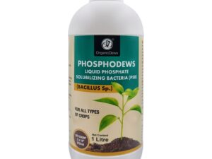 OrganicDews Phosphate Solubilizing Bacteria PSB (2×10^8 CFU/ML) Bio Inoculum Fertilizer (1 litre) for Plants – Faster Root Growth and Better Nutrient Uptake – Phosphodews 1 Litre