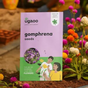 UGAOO Gomphrena Flower Seeds (Pink)