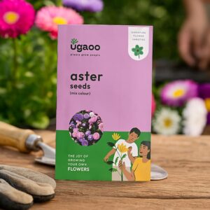 UGAOO Aster Flower Seeds (Multicolor, Pack of 200)