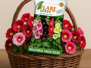 Hollyhock Flower Seeds All session Flowering seeds for Your Home and Gardening Pack Of 200 seeds