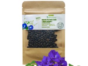 IndNursery Butterfly Pea/Aparajita Flower Seeds for Planting (Blue, 4 g) Pack of 1