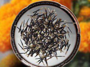 African Marigold Flower Seeds – (100 Seeds Par Packet) – Bright Orange Blossoms for Home Garden |