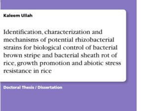 Identification, characterization and mechanisms of potential rhizobacterial strains for biological control of bacterial brown stripe and bacterial … and abiotic stress resistance in rice