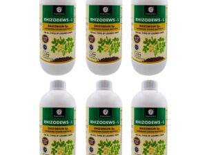OrganicDews Rhizobium leguminosarum – Nitrogen Fixing Bacteria (2×10^8 CFU/ML) Bio Fertilizer (6 Litre) for Legumes Plants – Soil Fertility, Faster Plant Growth and Increases Yield – Rhizodews 6 Litre