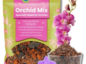 Orchid Potting Mix 1KG | Chunky Orchid Potting Soil Mix for Healthy Roots & Flower Boost | Growth Booster Hydroponics & Soil Amendment for Indoor & Outdoor Orchids Drainage-Aeration