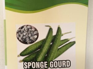 Seed basket Native Sponge Gourd(Nethi Beera/Turai) Vegetable Seeds For Home Gardening | 40 Seeds | Best in Germination | With Growing Instruction Manual