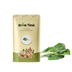 Swiss Chard Vegetable Seeds, Vegetable Seeds for Home Gardening, Vegetable Planting Seeds for Kitchen, Swiss Chard Seeds (Pack of 10g) (Green)