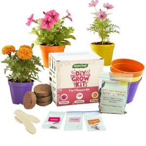 Garden Genie DIY Gardening Grow Kit | 3 Verities of Flower Seeds: Petunia, Cosmos & Marigold | Contains Planter Pots, Cocopeat, Compost for Home, Kitchen & Birthday Return Gifts for Kids