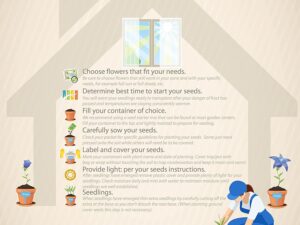 35+ Seeds- Giant Hibiscus Flower Seeds Hardy,Mix Color, Seeds For Planting