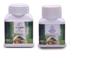 Compost Maker and Organic Fertilizer for Green Plant – Combo V-Comp, Leafy Harvest(1 Pack of V-Comp 250 grms, 1 Pack of Leafy Harvest 100 grms) by ABTL CROP SCIENCES