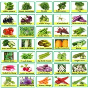 Morbih 35 Variety of Vegetable Seeds Combo Pack Seed (35 per packet)