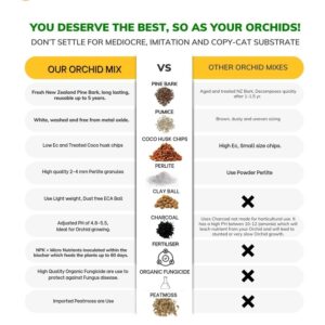 ANTHOM Chunky Orchid Potting Mix For Plants | Flower Booster | Plant Growth Booster | Plant Food | Orchids Potting Soil Mix For Plants | Agriculture Products For Plant Booster (800 Gram)