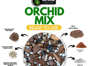 ANTHOM Orchid Potting Mix for Plants | Flower Booster | Plant Growth Booster | Plant Food | Orchids Potting Soil Mixture for Plants | Agriculture Products for Plant Booster (2400 Gram Pack of 2)