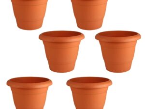 Leafy Tales 6-inch Plastic Flower Pots (Pack of 6) – Terracotta Colour Garden Gamla for Home & Outdoor Balcony – Durable Indoor/Outdoor Planters with Drainage Saucers