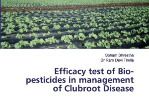 Efficacy test of Bio-pesticides in management of Clubroot Disease