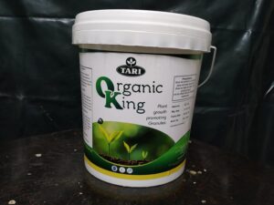 Organic King – 10Kg