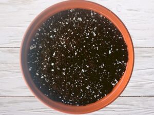 House Plant Potting Mix | Hand-Blended (2kg)