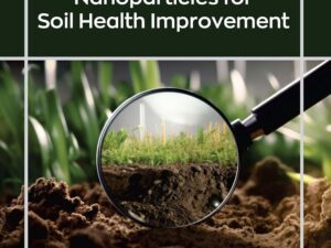 Nano-Biochar and Nanoparticles for Soil Health Improvement
