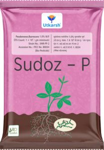 Utkarsh Pseudomonas Fluorescens Powder 1.0% W.P. CFU Count: 1 x 10^8 / gm. min. for Plants, Crops and Home Gardening – Sudoz-P (250 gm; Pack of 1)