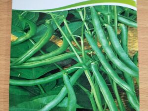 Seed basket Native/Non-GMO French Beans Seeds for Home Garden (30 Seeds with More than 70% Germination) And Instruction Manual