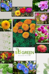 Flower Seeds Pack of 10 Varieties – Easy-to-Grow Mixed Garden Flowers for Home, Balcony & Terrace – Colorful Blooms for Indoor & Outdoor Planting