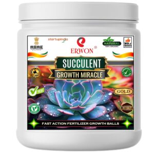 Erwon® Succulent GROWTH MIRACLE Fertilizer, Fast Action Organic Granules for rapid Overall Healthy Growth of succulent Plants. (400 gm)