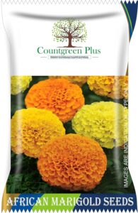 African Marigold (Genda) Annual Flower Garden Seeds (400 Seeds)