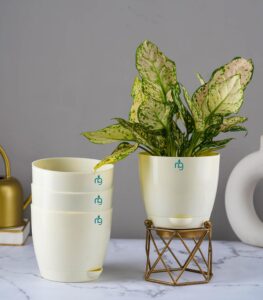 Nurturing Green® Combo of 4 Self Watering Flower Pots for Living Room & Home Decor | Plastic Plant Pots for Indoor, Balcony & Garden (Color: Ivory, Size: 14cm x 12.5cm Each)