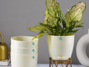 Nurturing Green® Combo of 4 Self Watering Flower Pots for Living Room & Home Decor | Plastic Plant Pots for Indoor, Balcony & Garden (Color: Ivory, Size: 14cm x 12.5cm Each)