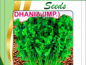High-Yield Dhaniya Seeds for Organic Farming Winter Season Growing (Pack of 250 seeds)