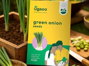 UGAOO Leek or Onion Vegetable Seeds (Green, Pack of 2g)