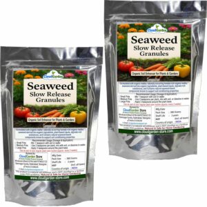 CloudGarden Seaweed Granules for Plants 760g (380g x 2) – Twin Pack Soil Booster for Root Growth, Compost Piles, Potting Soil and Terrace Gardening, Supports Soil Health and Strong Plant Growth