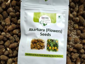 Akarkara Flowers Plants [Acmella oleracea] Seeds for Home Garden | Pack of 5grams | Ayurvedic Herbal Medicinal Plants Seeds