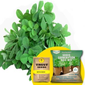 TrustBasket Premium Methi (Hybrid) Seeds with Free Germination Potting Soil Mix | Sow and Grow Fresh Healthy Seed in Your Garden Perfect for Home & Terrace Gardening