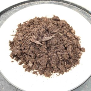 TARUVAR Pure Leaf Mould for Indoor and Outdoor Plants (100% Natural Process) | Ready to Use Potting Mix – 1Kg