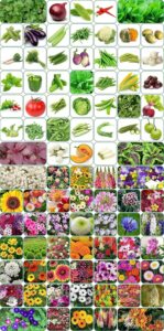 Aero Seeds 90 variety(45 flower and 45 vegetable) seeds combo pack with instruction manual.