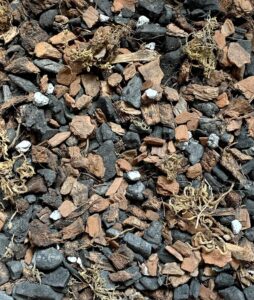 Orchid Potting Mix { Best Orchid Medium 800 Grams } Dedrobium Phalaenopsis Cattleya Potting Soil