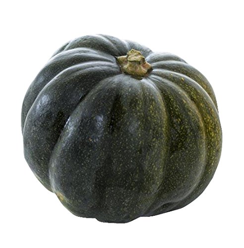 Futaba Acorn Squash Seed - 20 Pcs