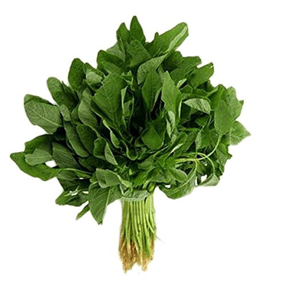 Amaranthus Green Chaulai Seeds Arai Karai Seeds Pack Of 190 Seeds - Image 2
