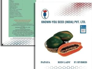 Taiwan Red Lady Papaya Hybrid Seed