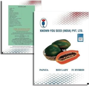 Taiwan Red Lady Papaya Hybrid Seed