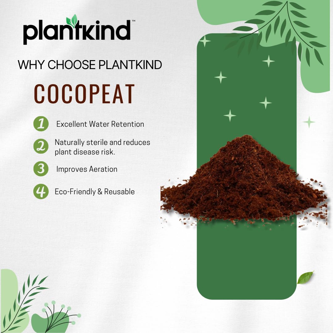 Cocopeat Powder | Natural Coconut Coir Dust for Home Gardening, Terrace Gardens, and Seed Germination | Ideal for Soil Aeration & Root Support | Reusable Pack (1 kg) - Image 3