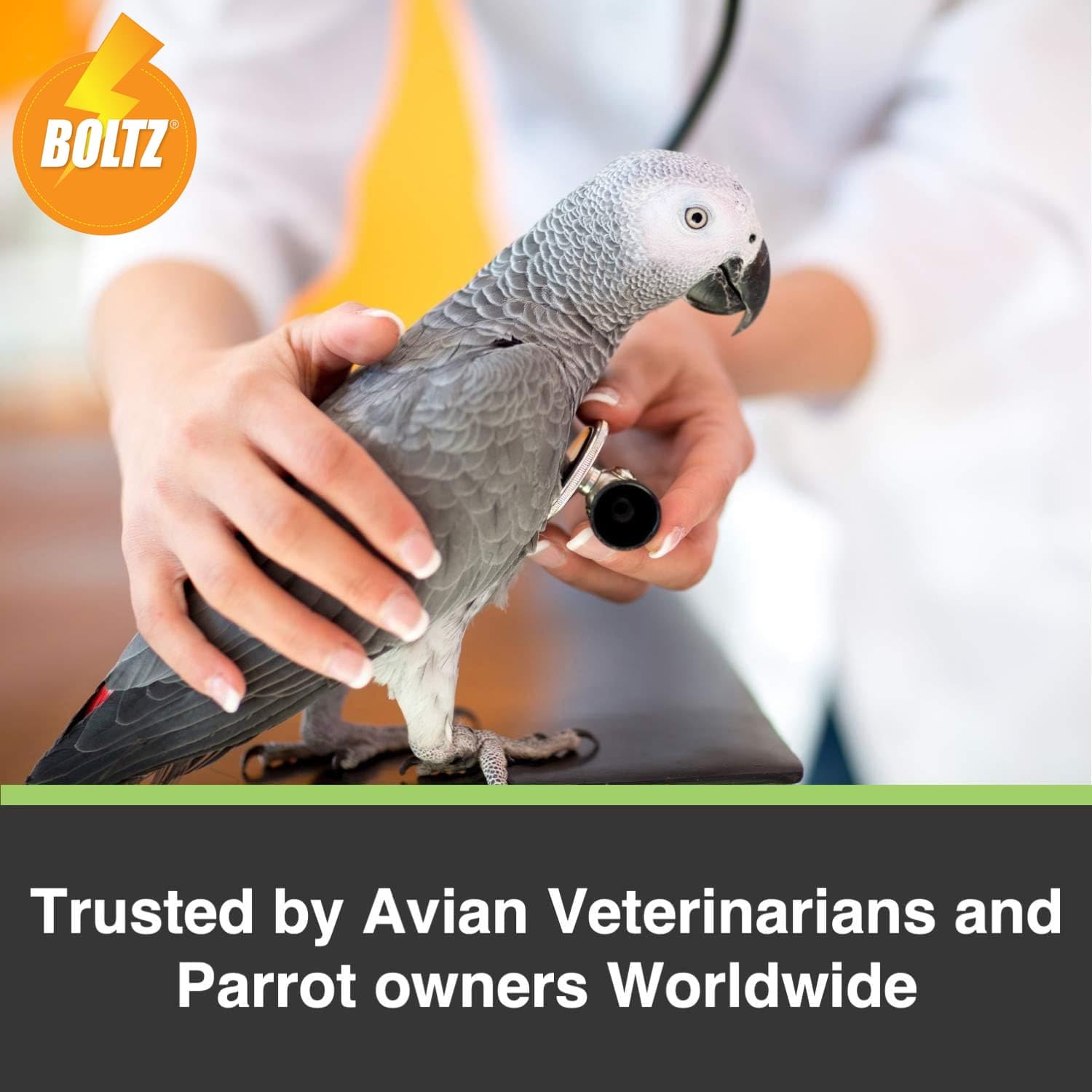 BOLTZ Premium Fruit Pellet with Seed Mix for Parrot 1KG Pack, African Grey Parrot,Sun Conure,Macaw,Lovebird and Alexander - All Life Stages Mix Seeds (Fruit Pellet 1Kg) - Image 5