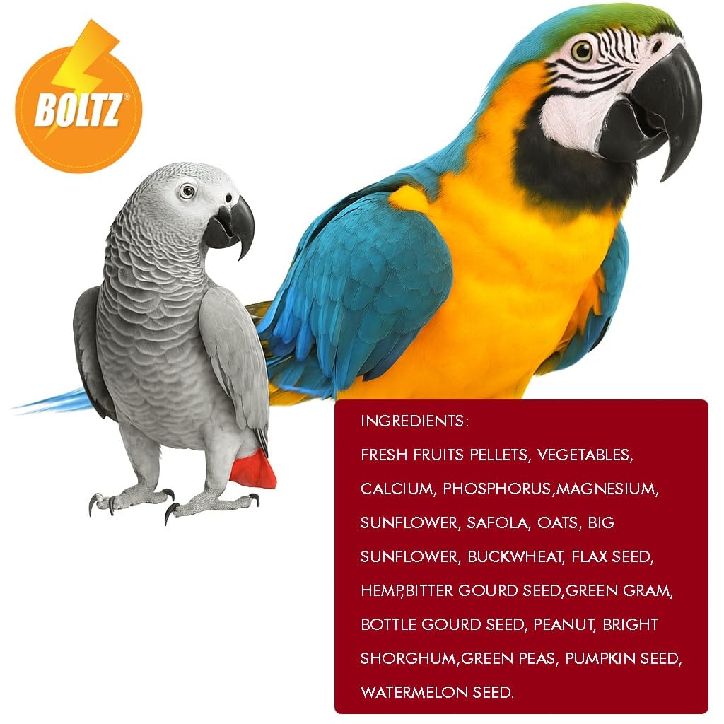 BOLTZ Premium Fruit Pellet with Seed Mix for Parrot 1KG Pack, African Grey Parrot,Sun Conure,Macaw,Lovebird and Alexander - All Life Stages Mix Seeds (Fruit Pellet 1Kg) - Image 2