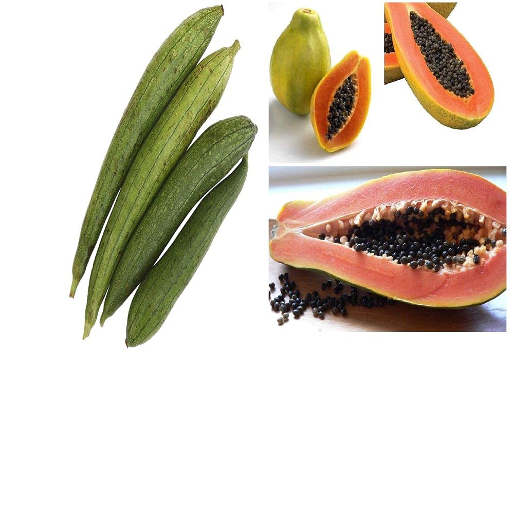 Vegetable & Fruit Seeds Combo of Papaya Red Lady and Sponge Gourd with Instruction Manual