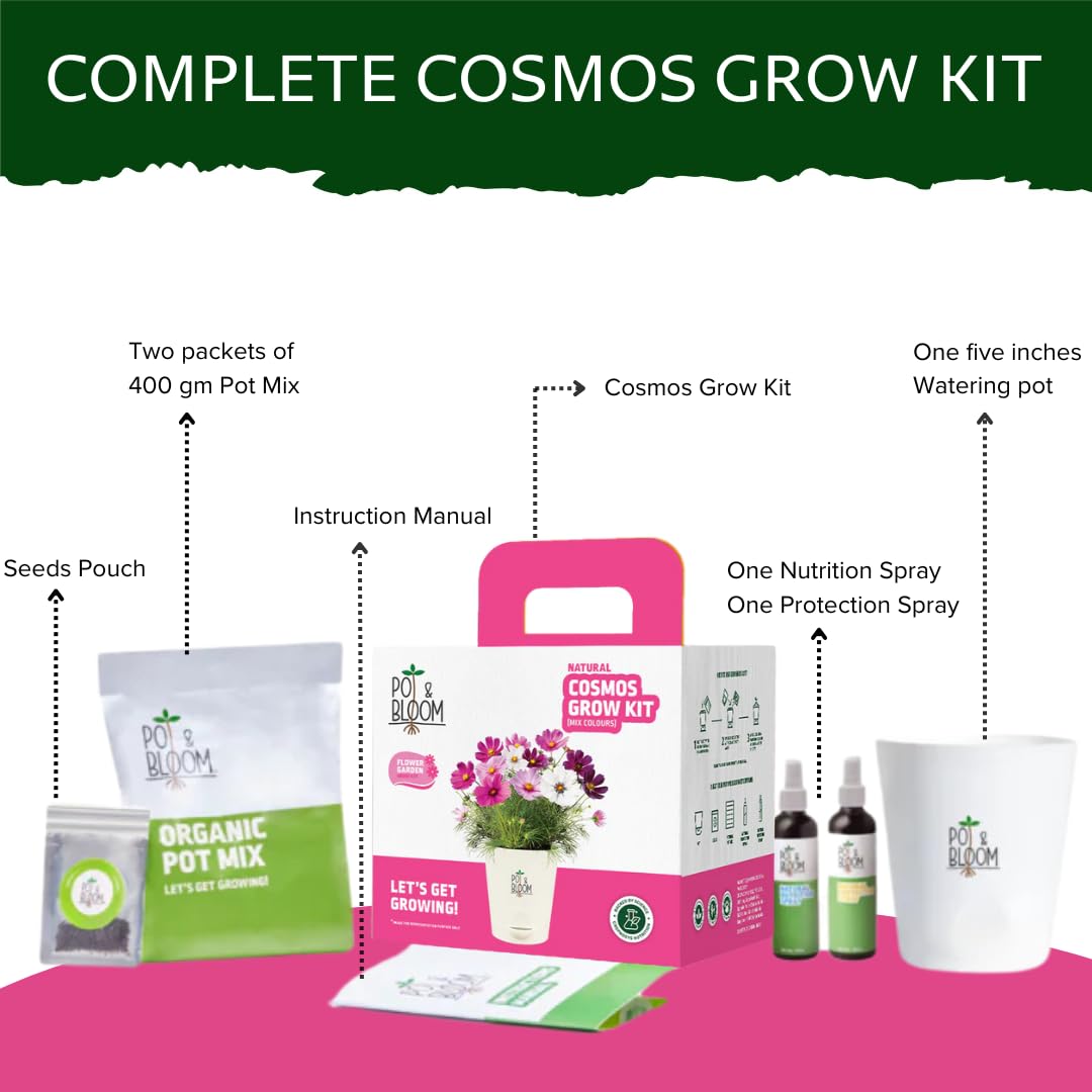 Cosmos Gardening Kit | Complete Home Gardening Set with Cosmos Seeds, Pot, Potting Mix (Soil & Fertilizer), and Plant Growth(nutrition) and Protection Spray | Ideal Return Gift - Image 2