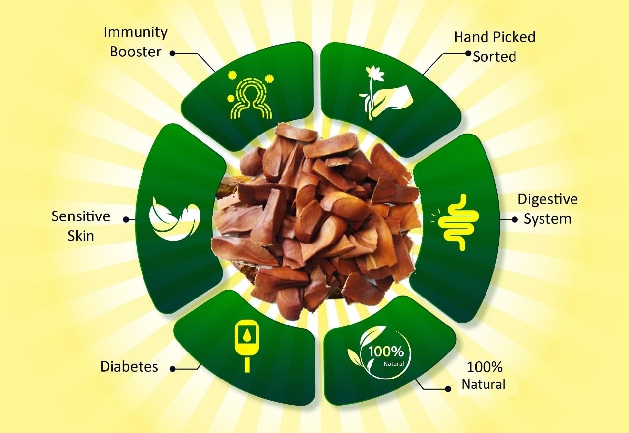 SkyFruit Sky Fruit Kadwa Badam Sugar Badam | Diabetes Bitter Almonds | Thengani kai | Mahogany Seeds | Diabetes King Bitter Seeds, Machine Cleaned, hygienically processed & packed 500 Grams - Image 3